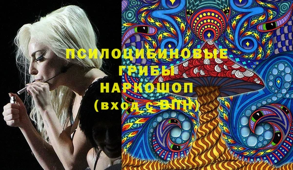 спиды Нефтегорск