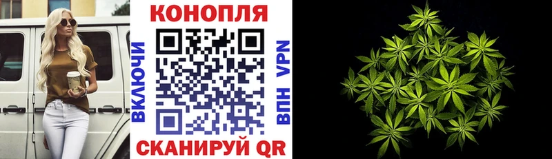 Канабис Bruce Banner Заполярный